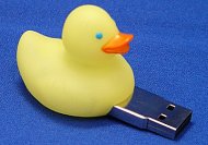 Duck-billed backup source